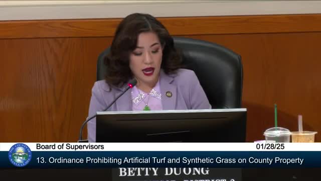 Council debates artificial turf ban amid concerns for equity and environmental justice in local parks