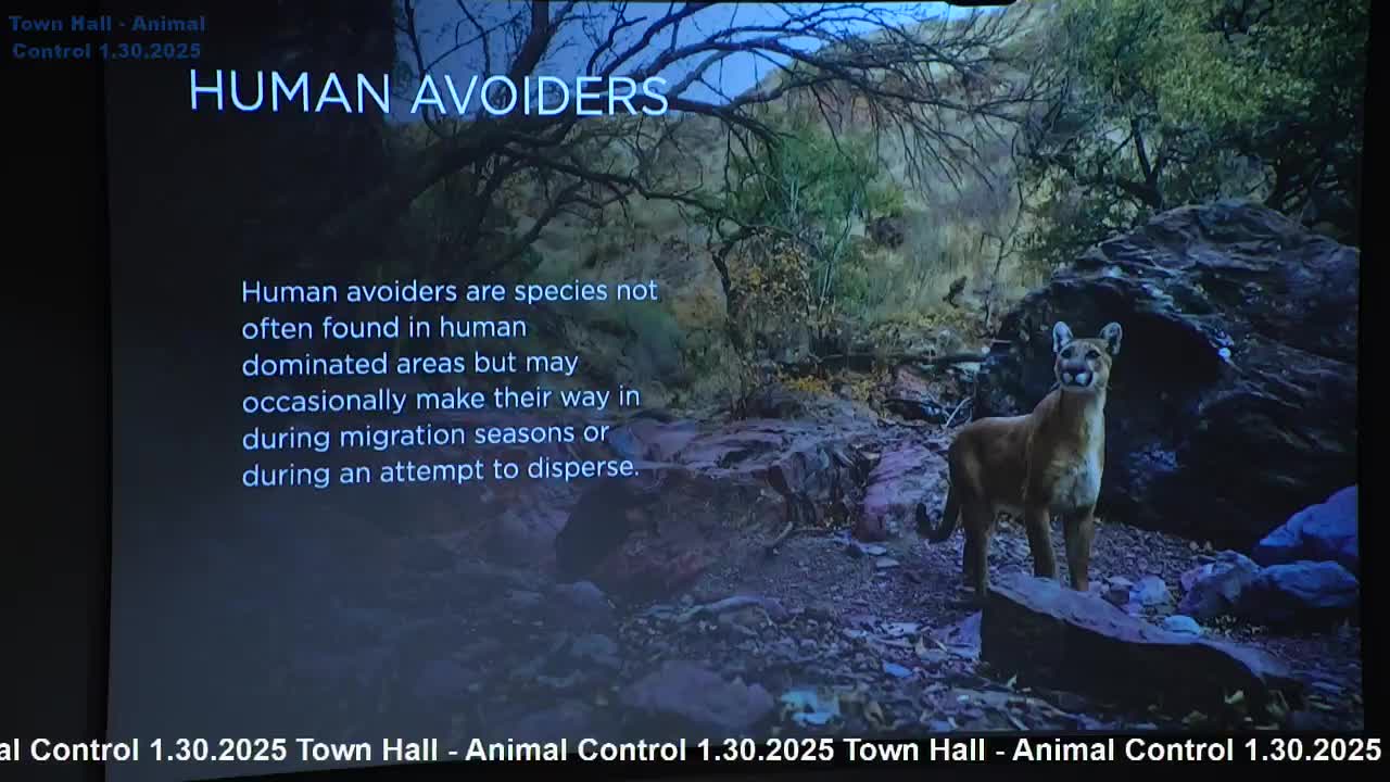 Mountain lion spotted in Plano backyard raises wildlife concerns among residents