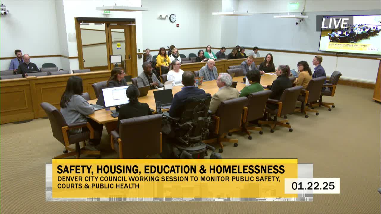 Denver's All In Mile High team outlines 2025 strategy to combat street homelessness