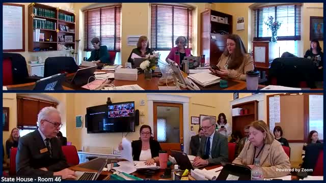 Brenda Siegel advocates for emergency housing reform in Vermont legislature
