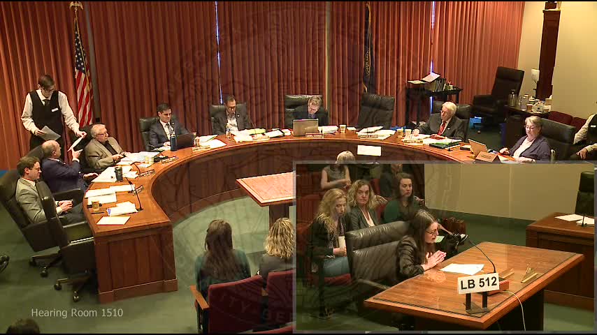 Abigail Delaney challenges Nebraska abortion regulation citing patient safety concerns