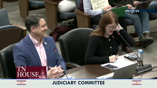 Memphis Allies Initiative presents gun violence reduction progress to local lawmakers