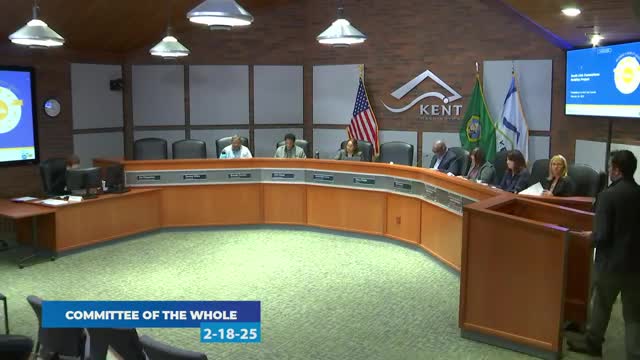 King County Metro unveils South Link Connections project for improved transit service