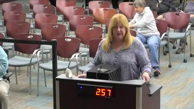 Homeowners in Palm Coast demand regulatory action against low-flying airport traffic