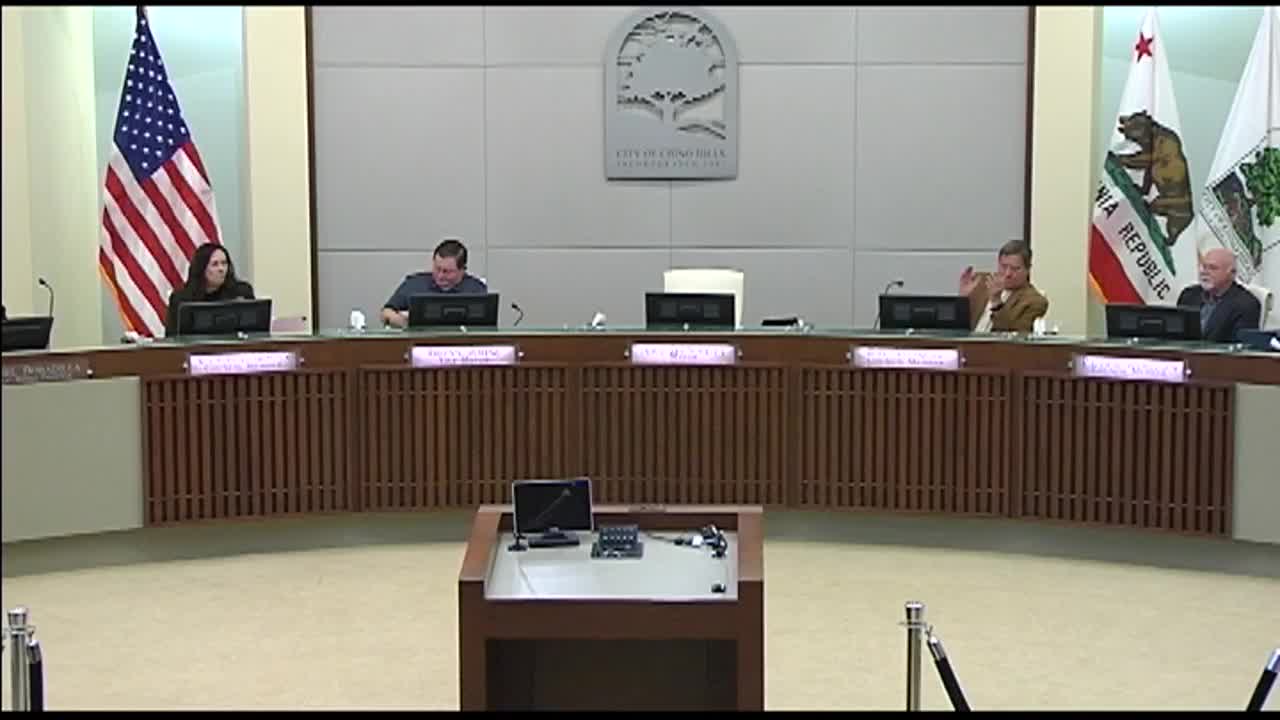 Asha Jones updates Las Vegas officials on Bright Line West high-speed rail project