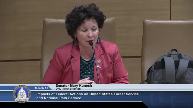 Minnesota DNR outlines wildfire response amid federal layoffs and funding challenges