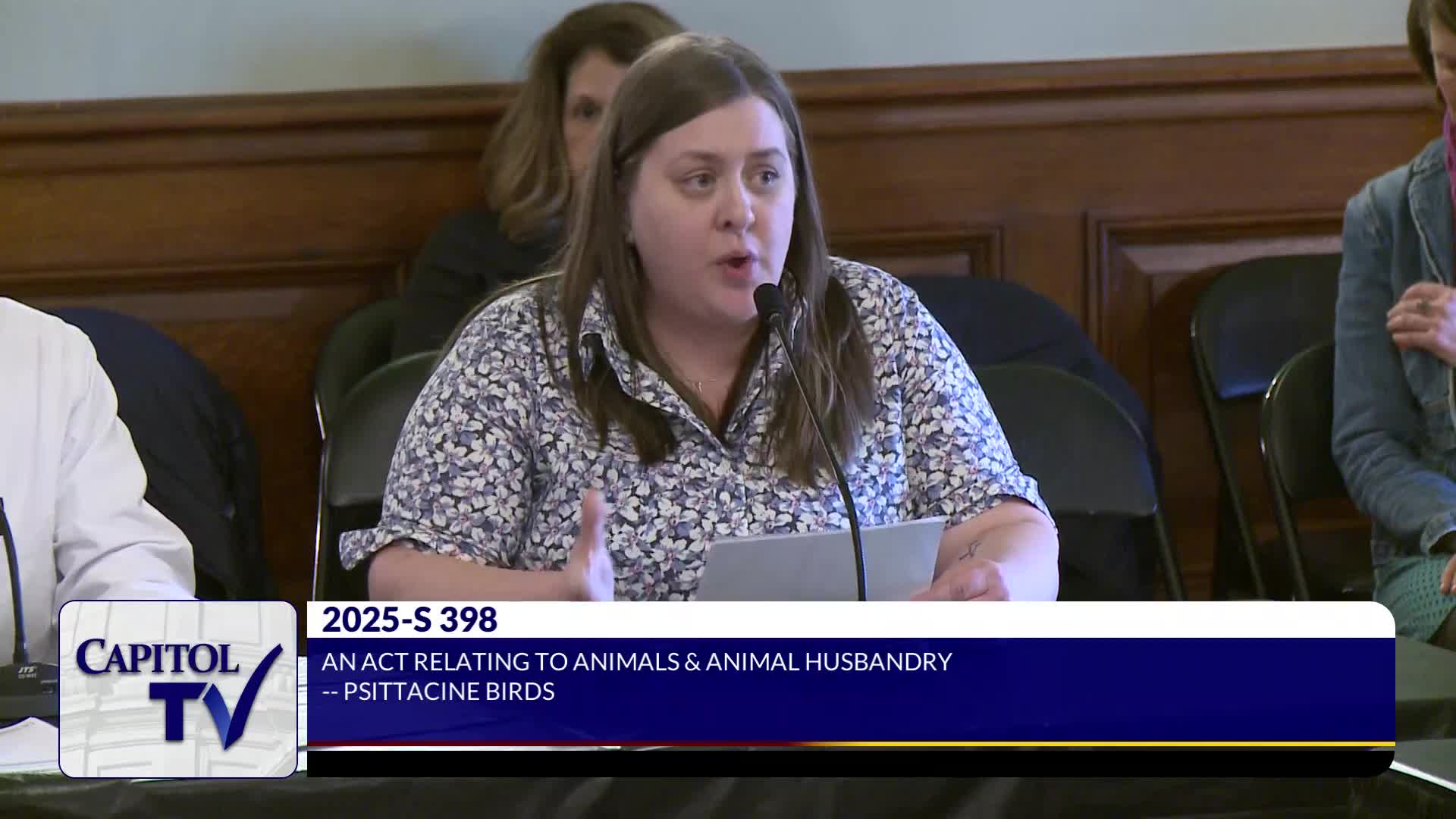 Rhode Island debates bill impacting pet bird sales and local businesses