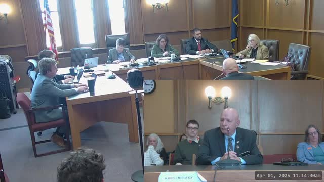 New Hampshire introduces 1 trusted adult program for children's support