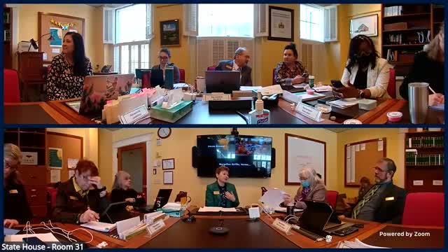 Human Rights Commission discusses language access for Vermont's immigrant housing policy