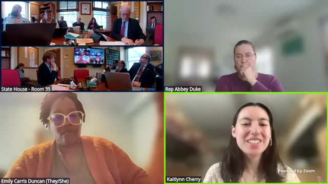 Caitlin Cherry advocates for Vermont age appropriate design code at legislative hearing
