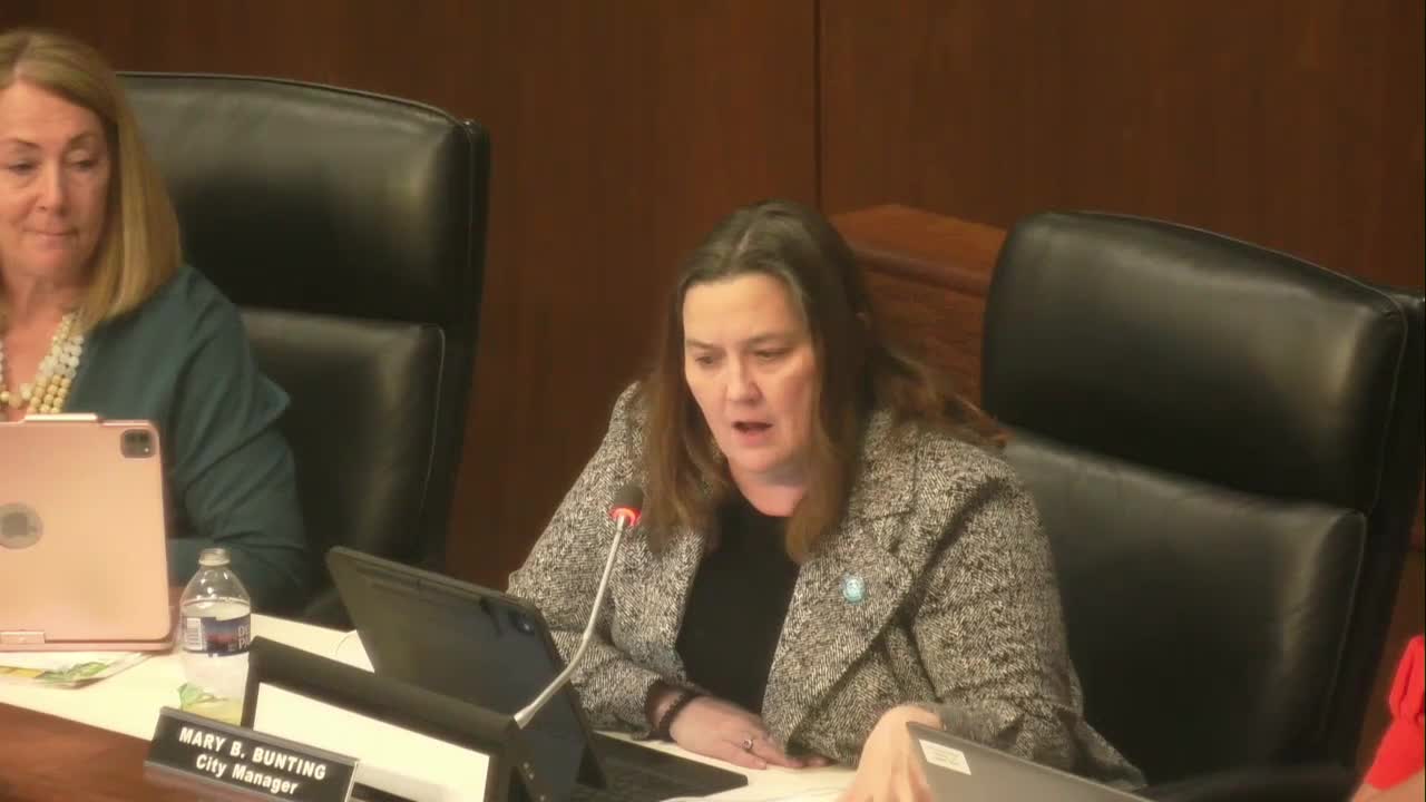 Hampton City Council approves key appointments to arts and policy committees