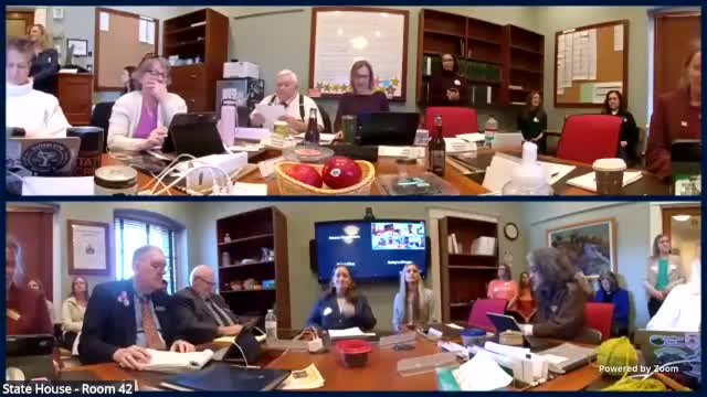 Kate LeBlanc advocates for fertility healthcare coverage at Vermont House committee meeting