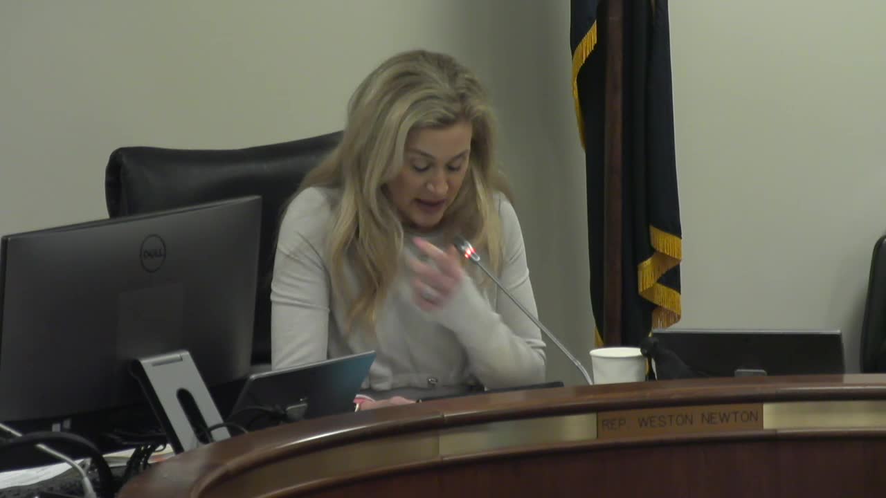 South Carolina panel debates changes to guardian ad litem requirements in family court