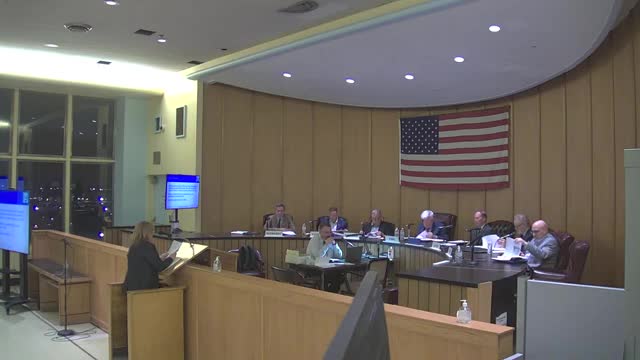 Residents urge city council to enforce stricter noise ordinances and curb cut regulations