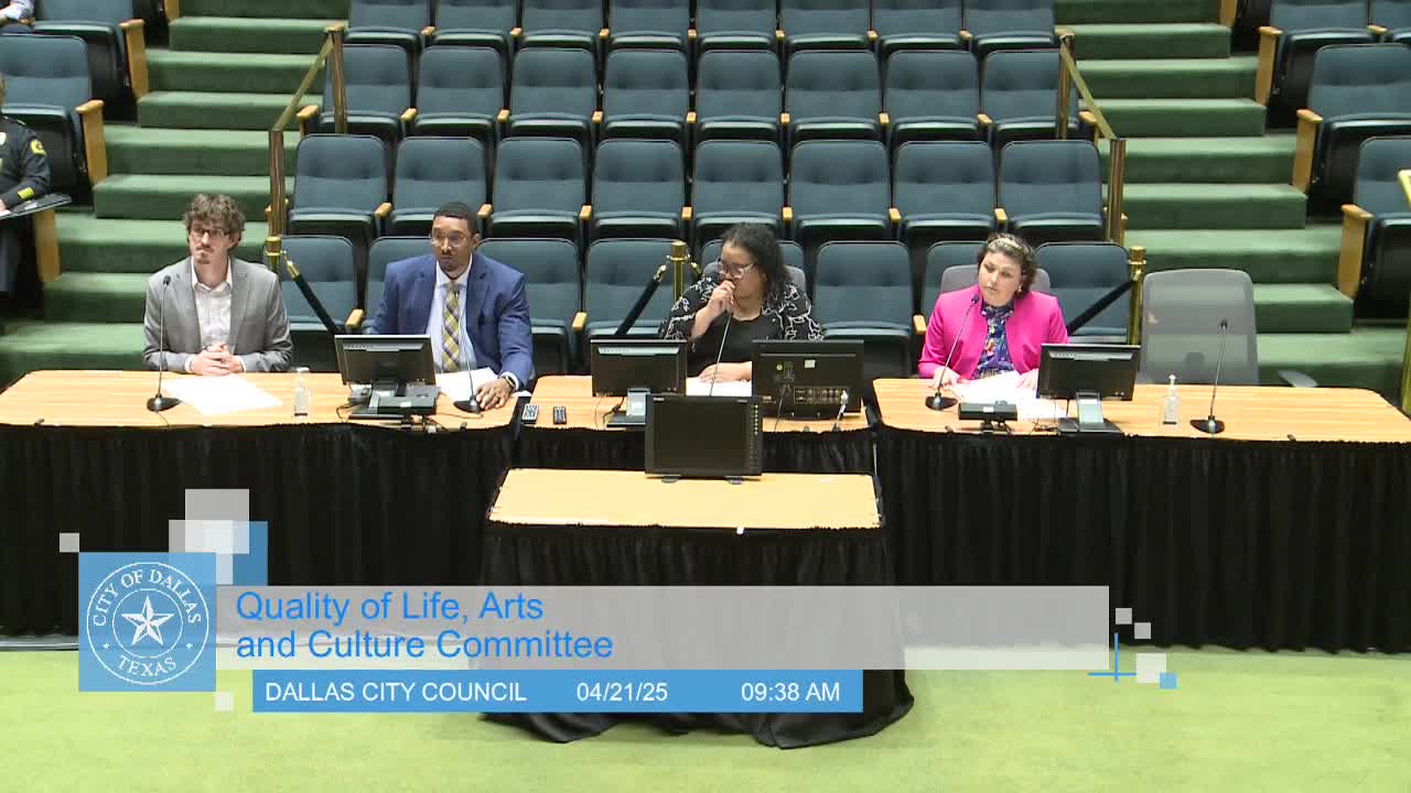 Dallas City Council explores noise enforcement and residential event regulations