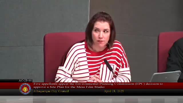 City Council holds public comment on civil rights and community safety concerns