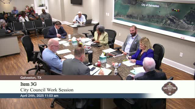 Galveston City Council discusses plans for management and funding of local parks