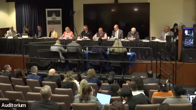 Tomika Mas presents California housing reorganization plan to Little Hoover Commission