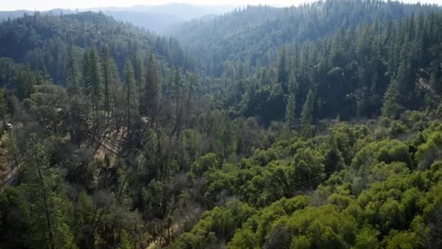 Nevada County launches biomass project to combat wildfire hazards and create biochar