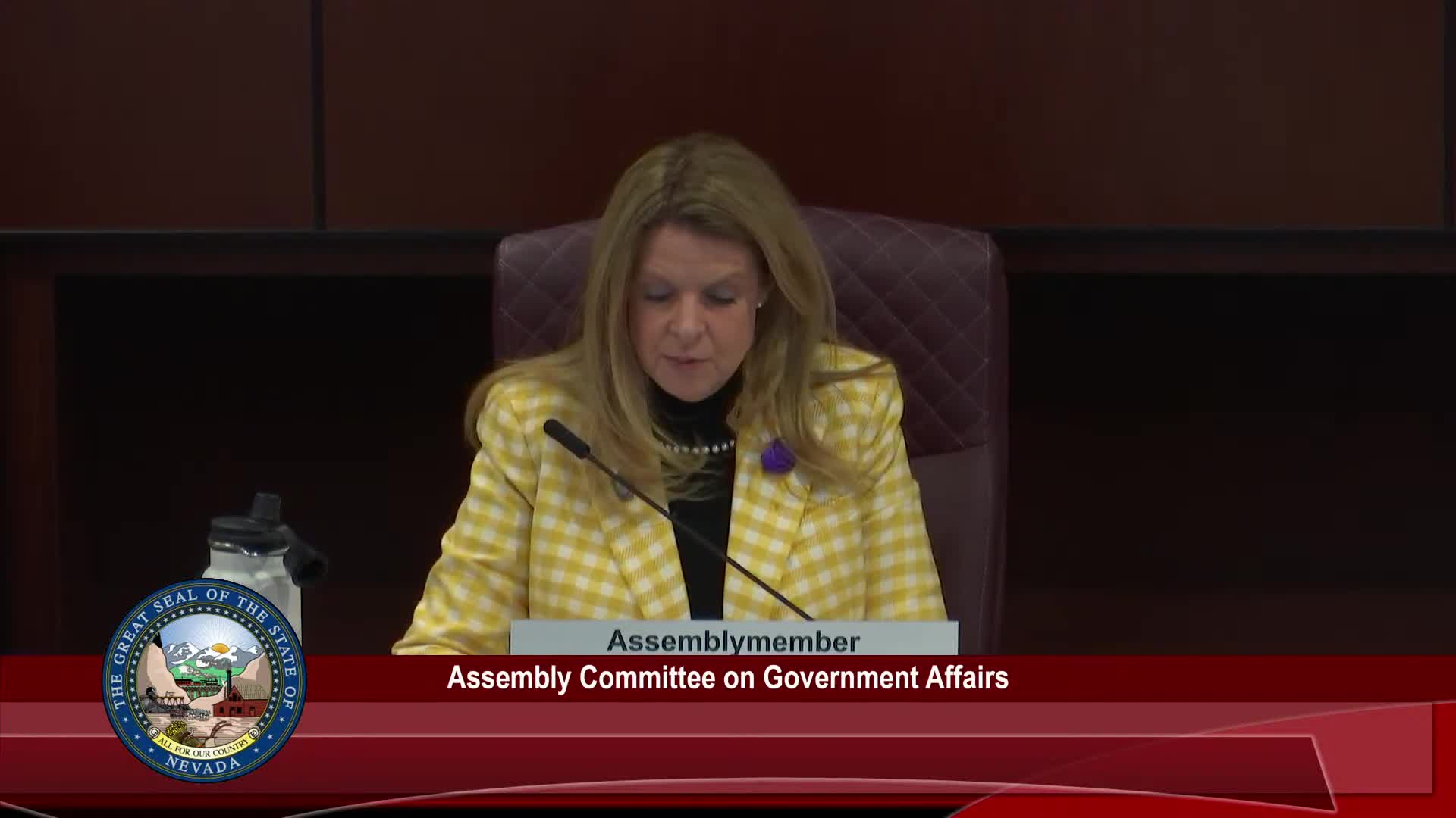 Teachers Health Trust highlights dependent coverage crisis to Nevada Assembly