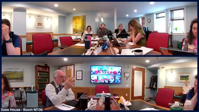 Doula Association discusses Medicaid reimbursement and fee concerns for community doulas