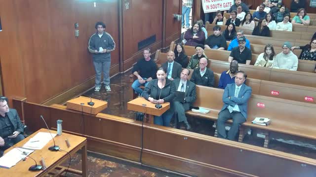 Council members urged to enforce policies for a safer Southgate community