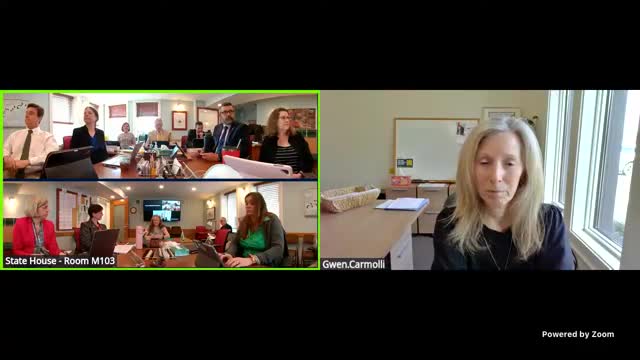 Vermont House Education Committee discusses S 139 to enhance literacy support for older students