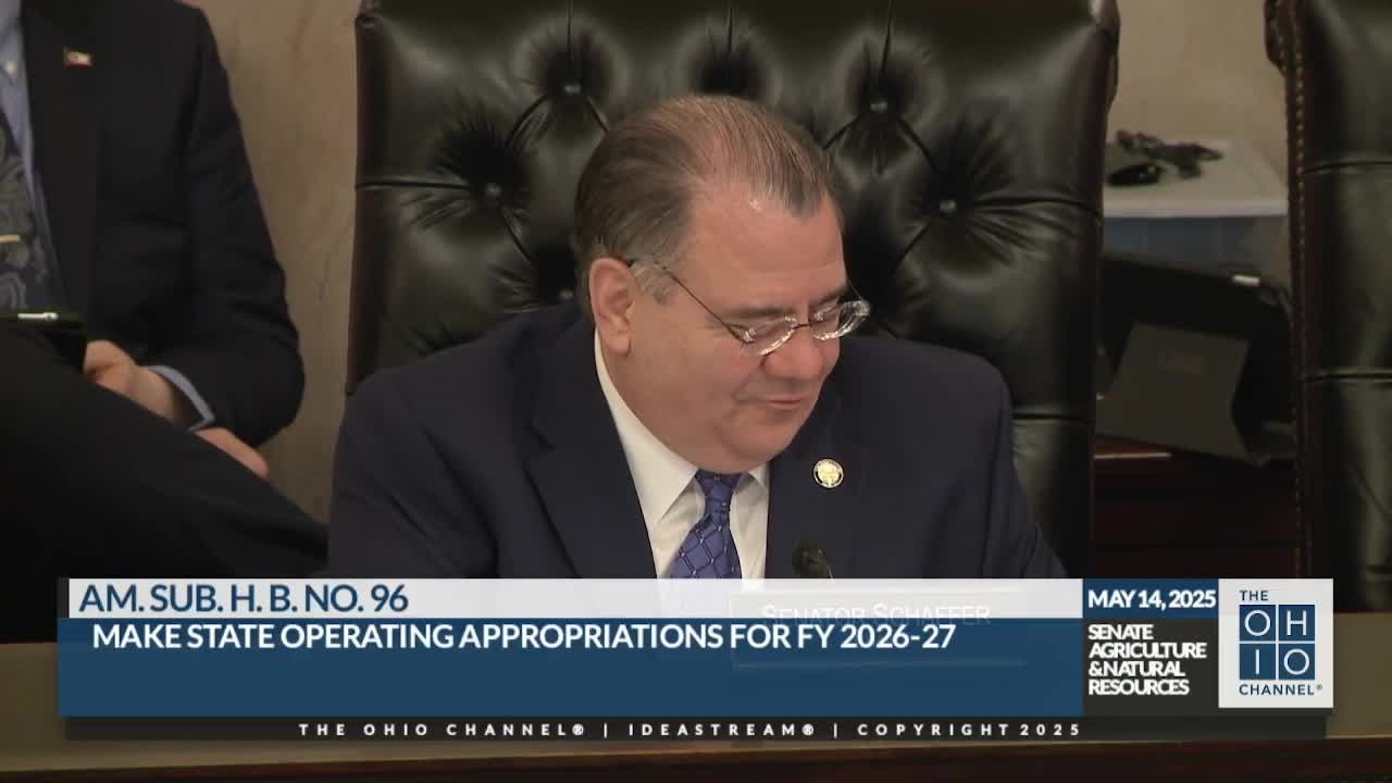 Brianna Jordan highlights Ohio's veterinary shortage at committee hearing