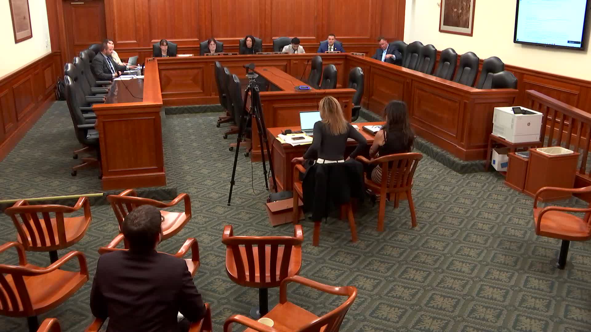 Court denies extension for Michigan wildlife rehabilitation, fawns released after legal battle