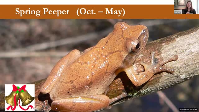 Biologist discusses common frogs and their distinctive sounds at Hall County Spring Expo