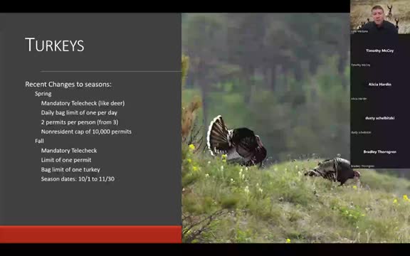 Wildlife officials limit turkey hunting permits to combat declining populations