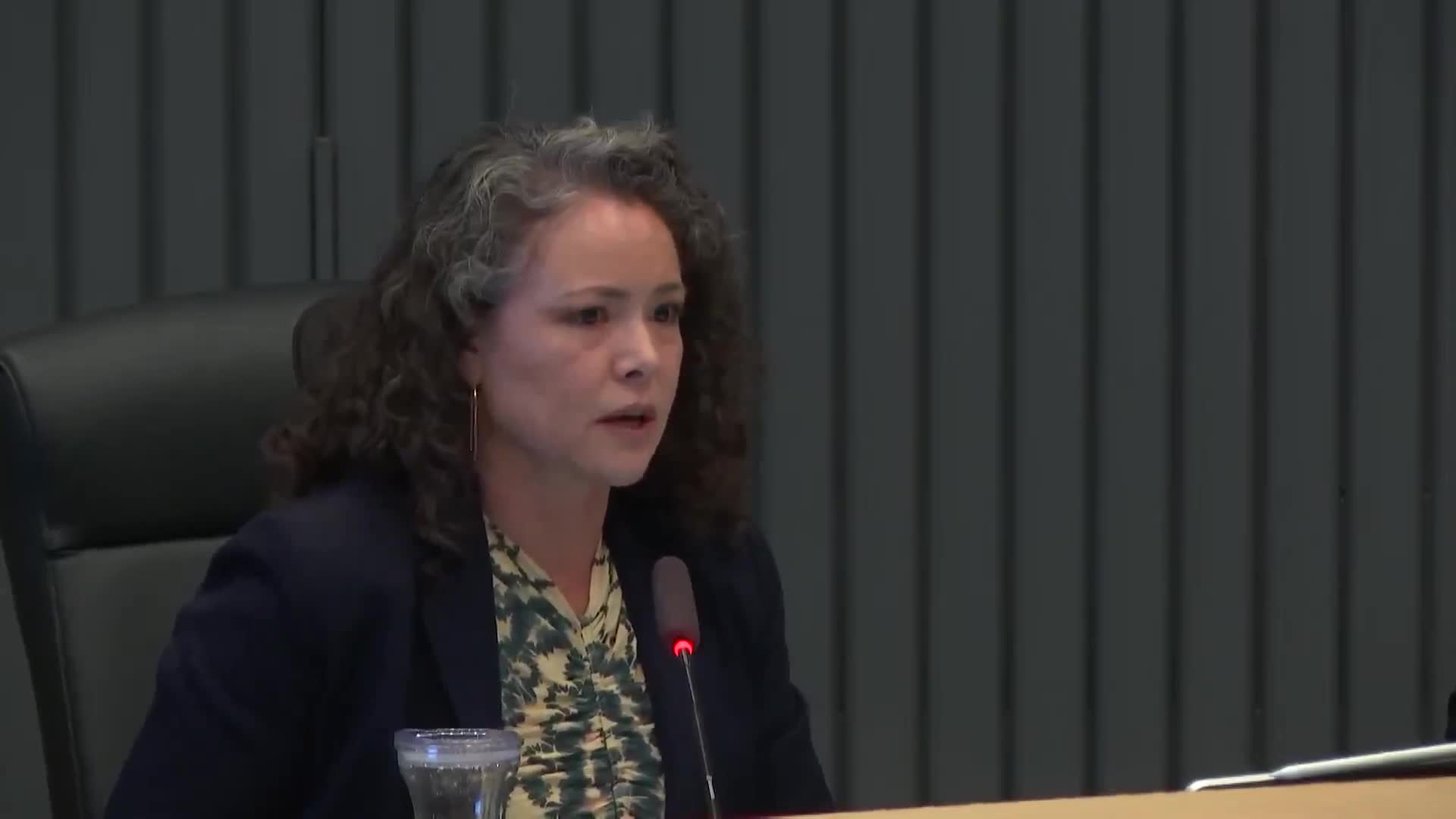 Palm Springs council discusses flag policy and upcoming AI creativity expo
