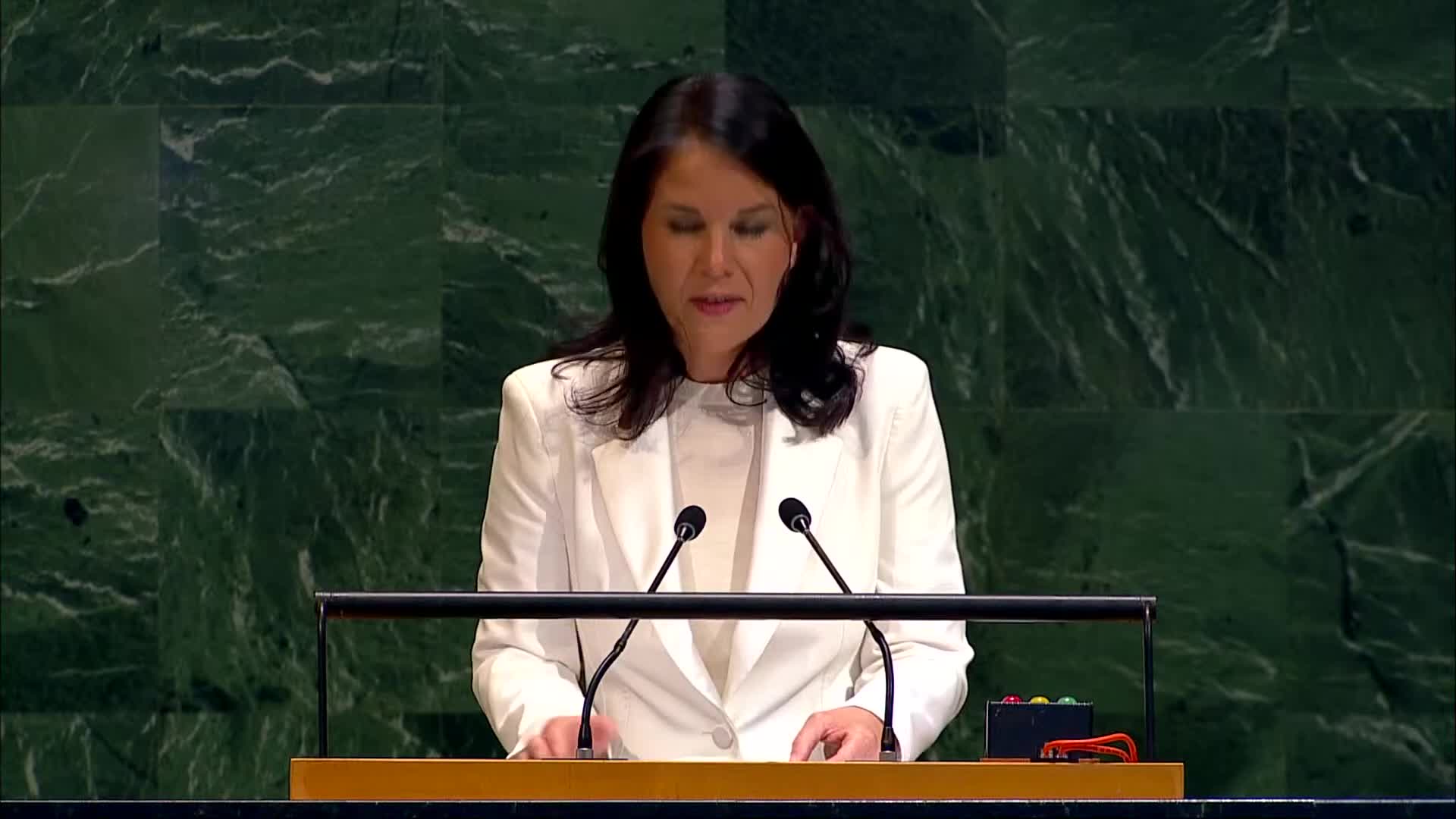 Annalena Baerbock elected president of 80th UN General Assembly amid global challenges