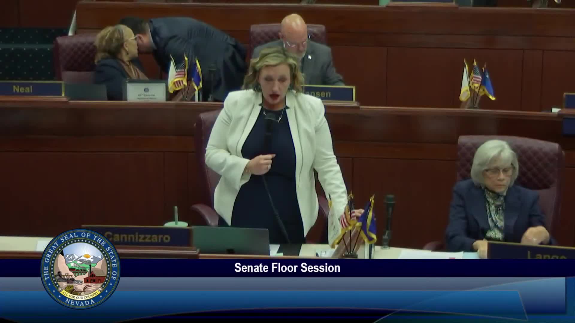 Nevada Assembly passes AB 416 amid heated debate over library content control