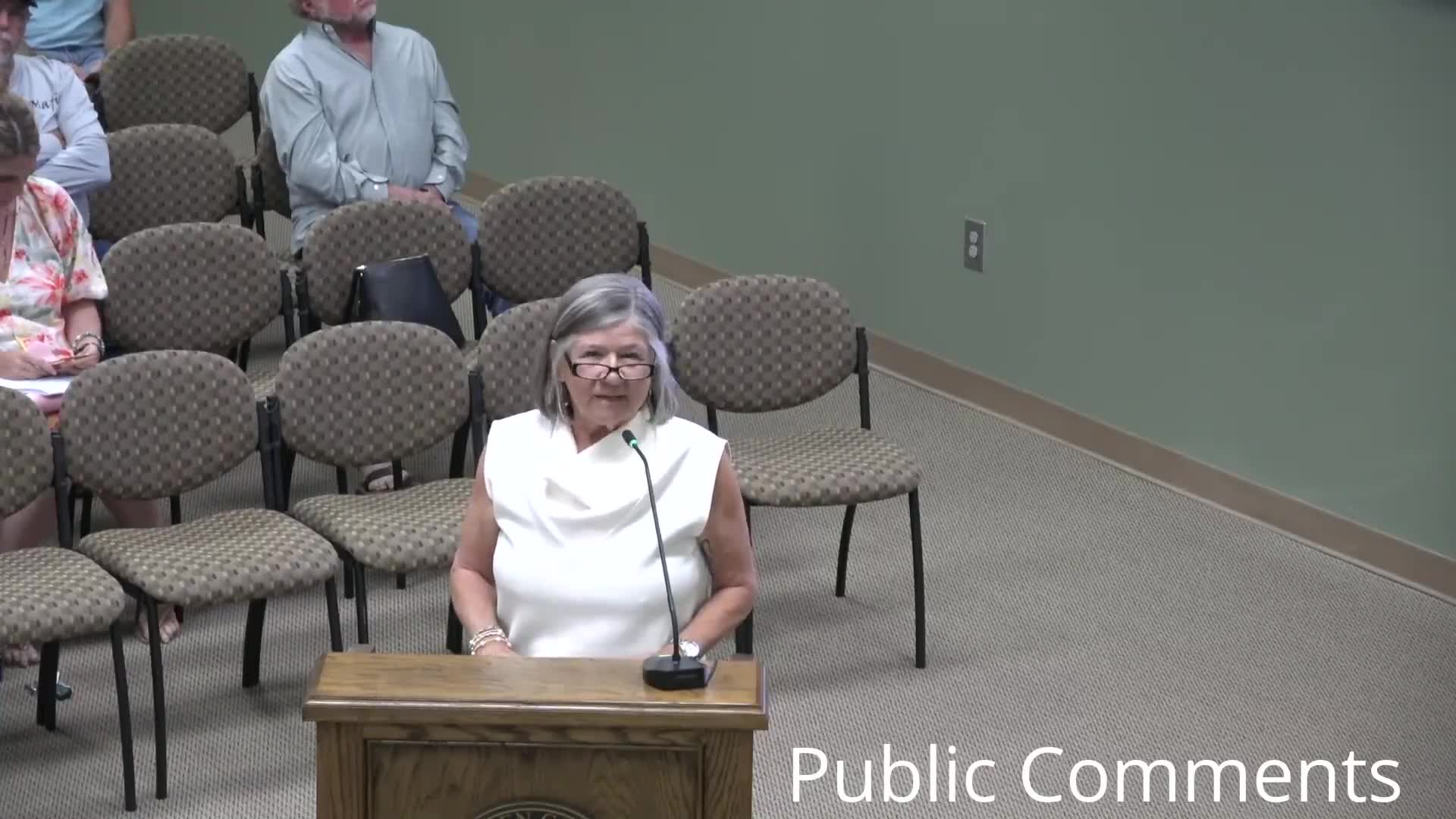 Camden County residents voice concerns over mobile home approval on Crooked River Drive
