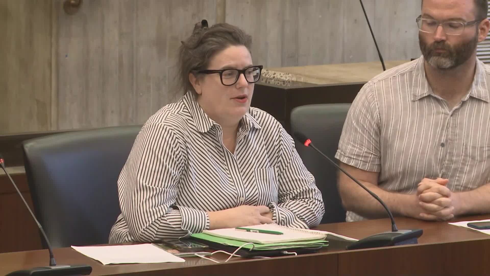 Olmstead advocates for Franklin Park improvements focused on children not professional sports