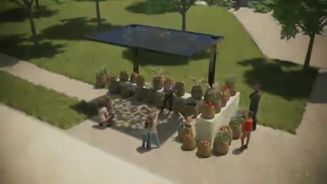Tyler Radbourne outlines sustainable community development plan in Grapevine