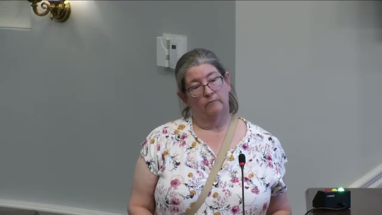 Carmel residents oppose short term rentals citing noise and safety concerns