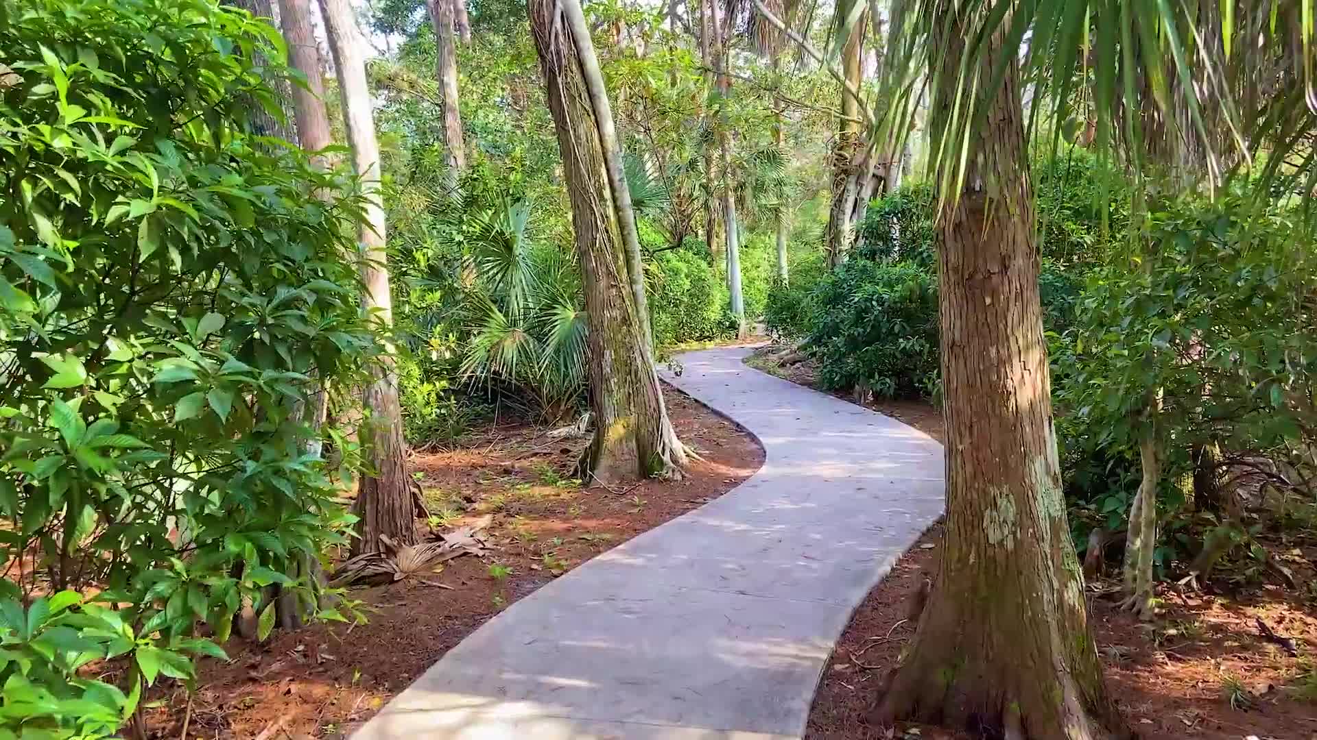 Coconut Creek unveils Winston Park and Nature Trail for outdoor family activities