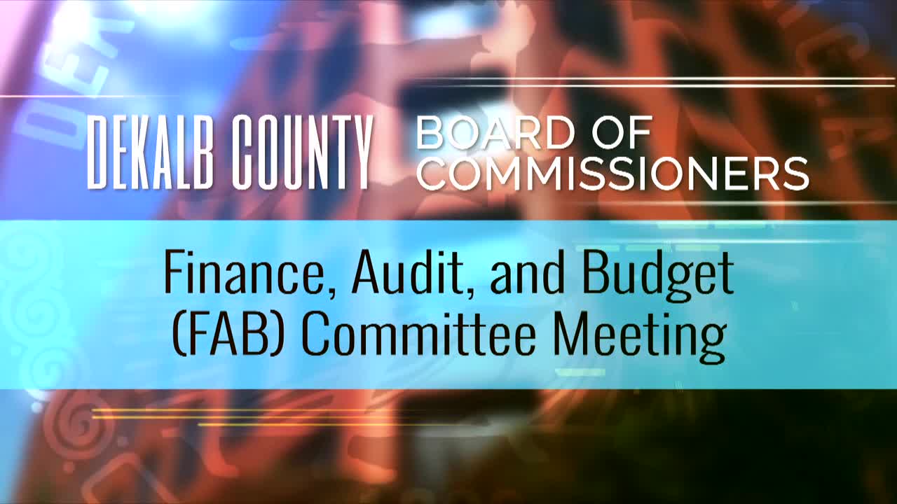 DeKalb County Finance Committee reviews grant allocations for accountability courts