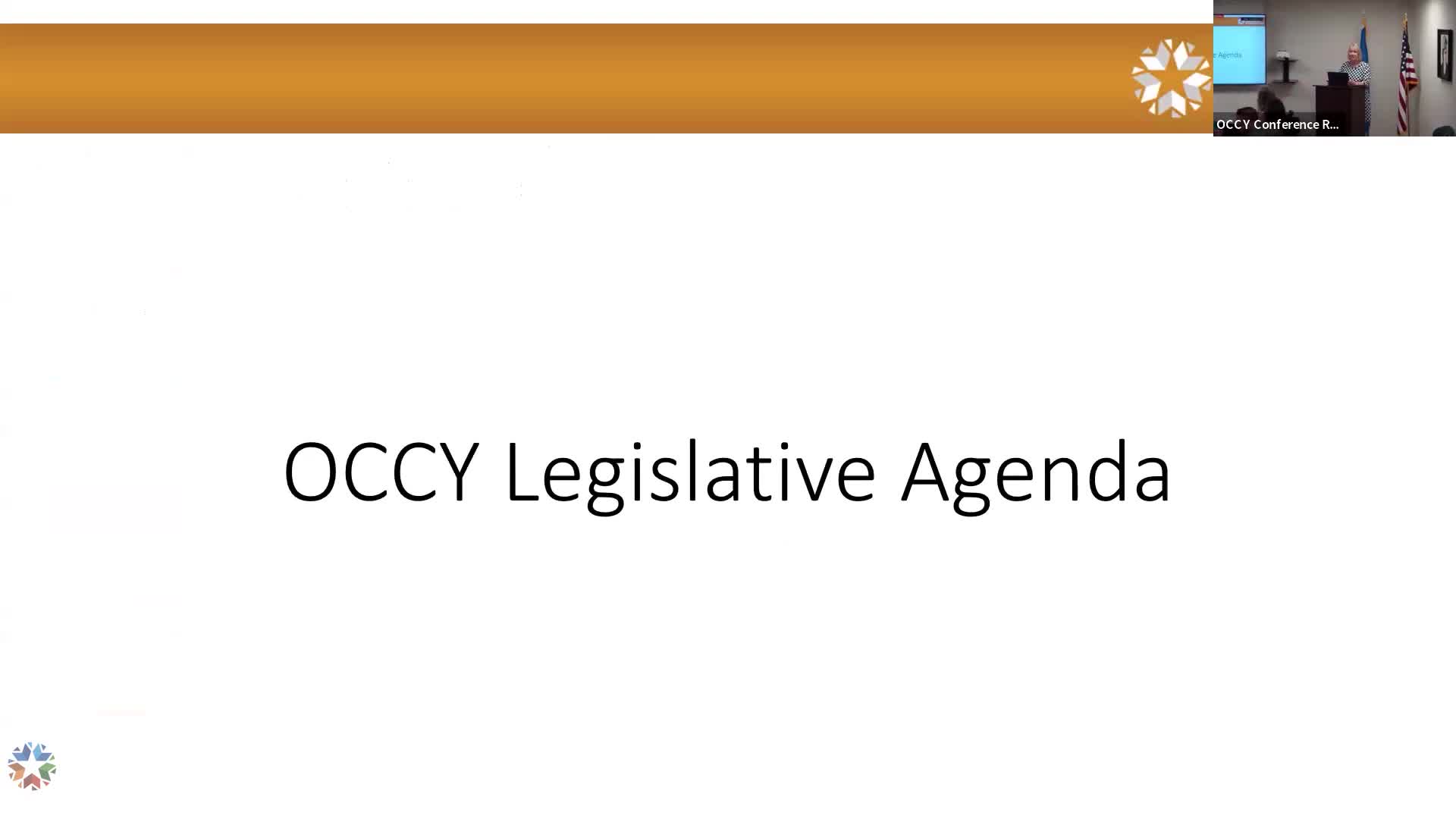 Legislature passes record bills and veto overrides in unusual session